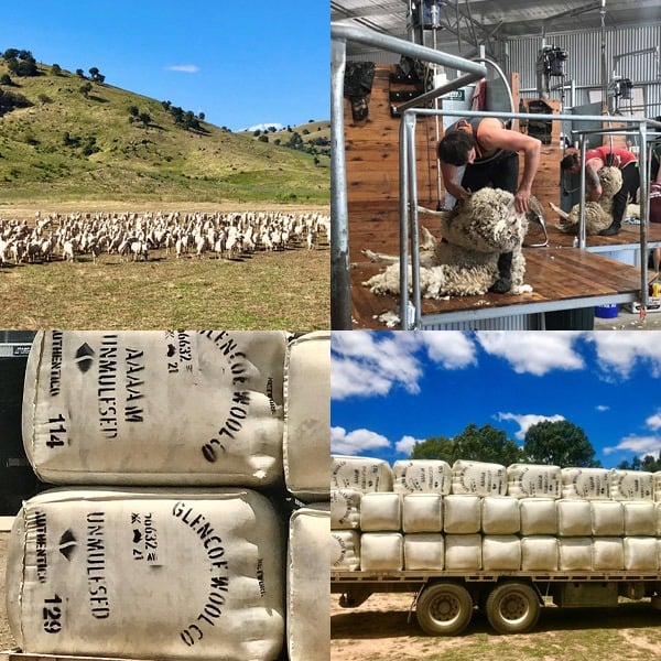 shearing-and-loading-montage